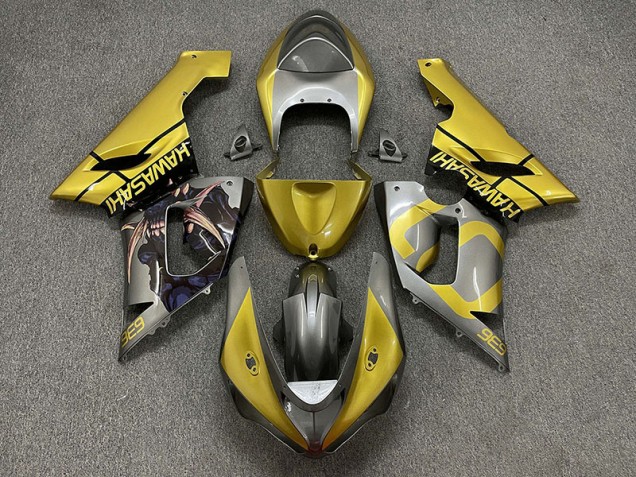 2005-2006 Gold and Silver Kawasaki ZX6R Fairings